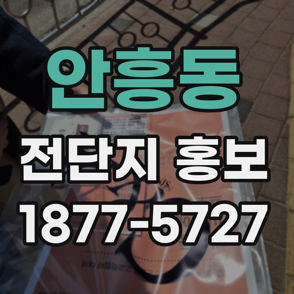 안흥동 전단지 홍보