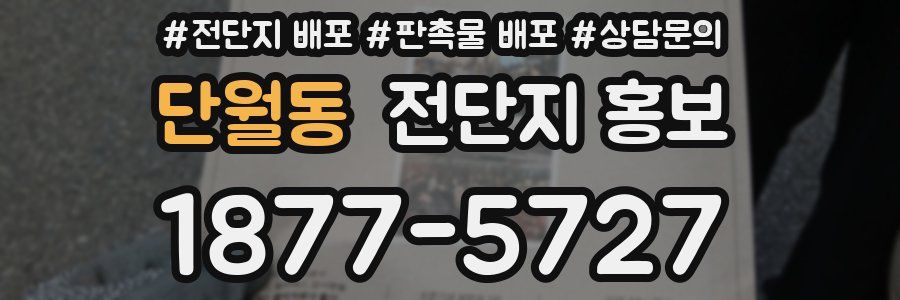 단월동 전단지 홍보