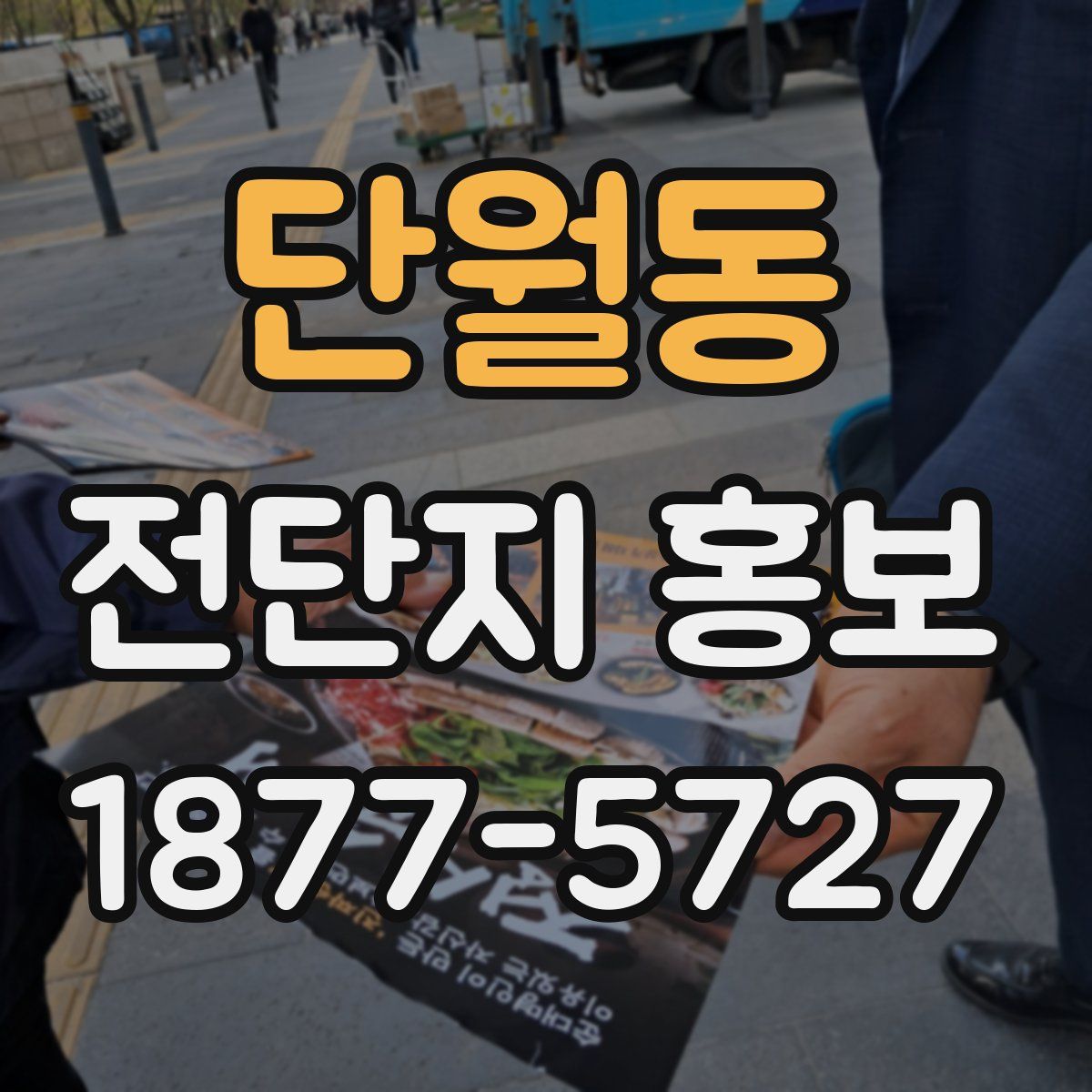 단월동 전단지 홍보