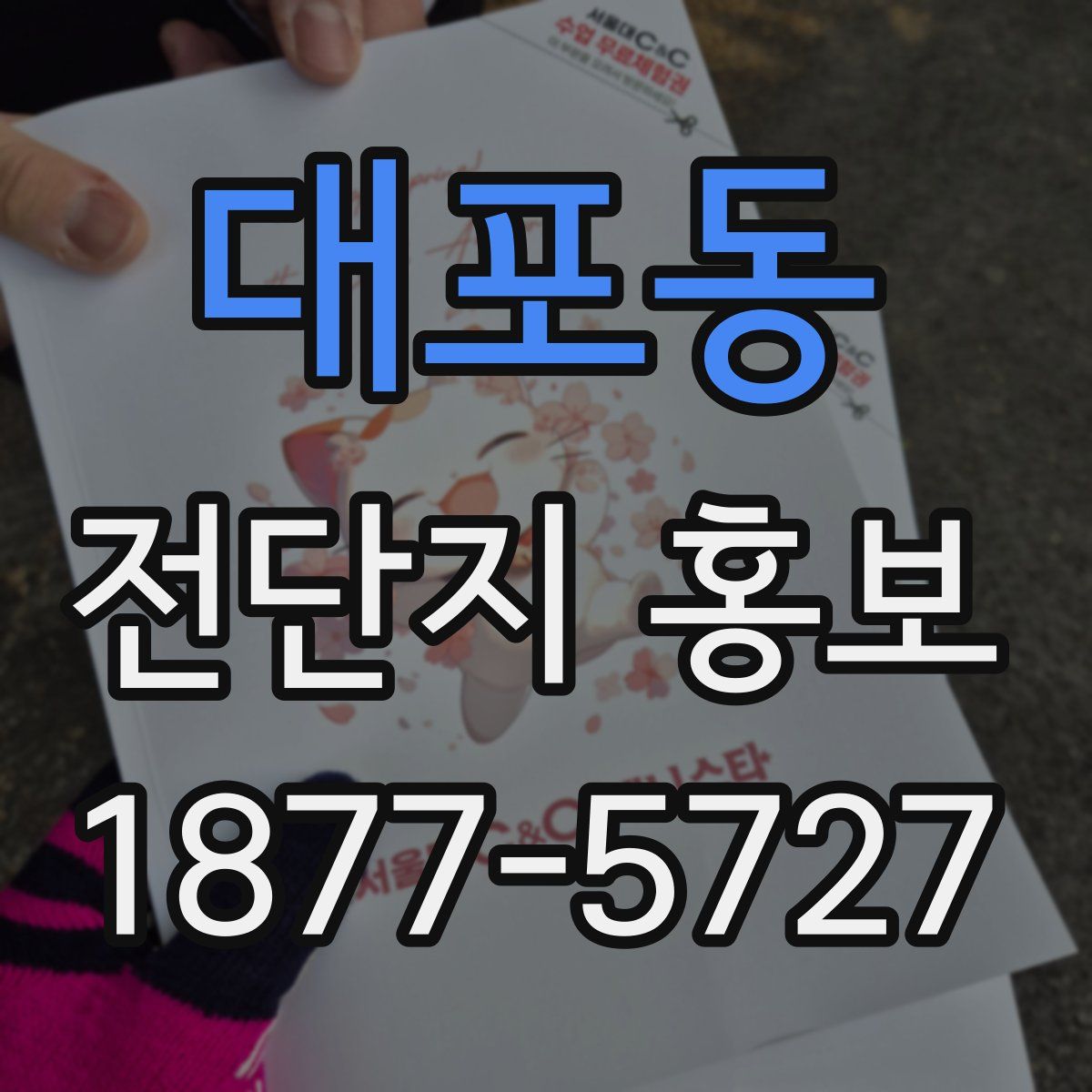 대포동 전단지 홍보