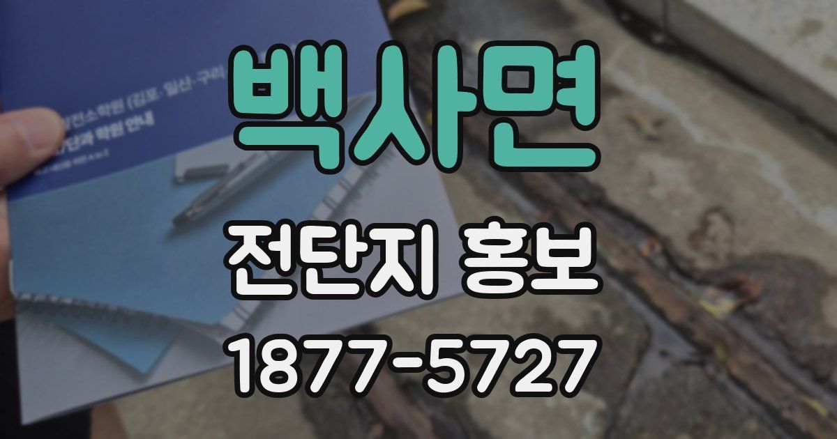 백사면 전단지 홍보