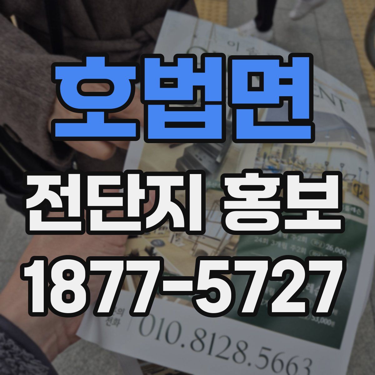 호법면 전단지 홍보
