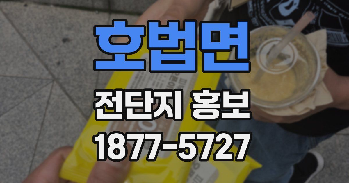 호법면 전단지 홍보