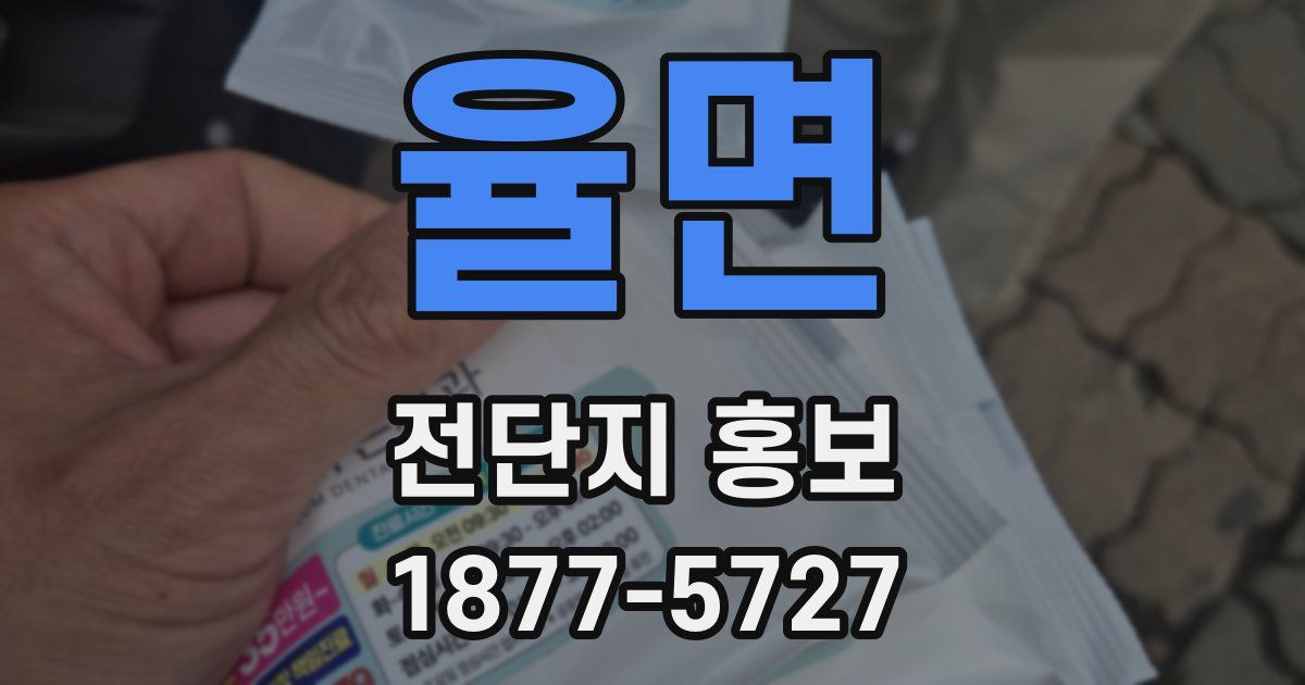 율면 전단지 홍보