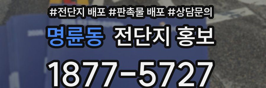 명륜동 전단지 홍보
