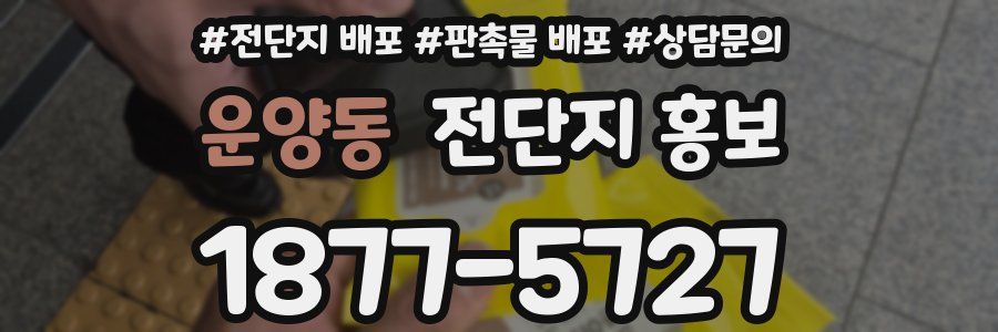 운양동 전단지 홍보