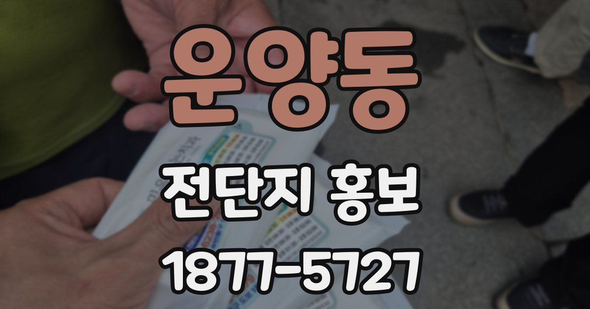 운양동 전단지 홍보