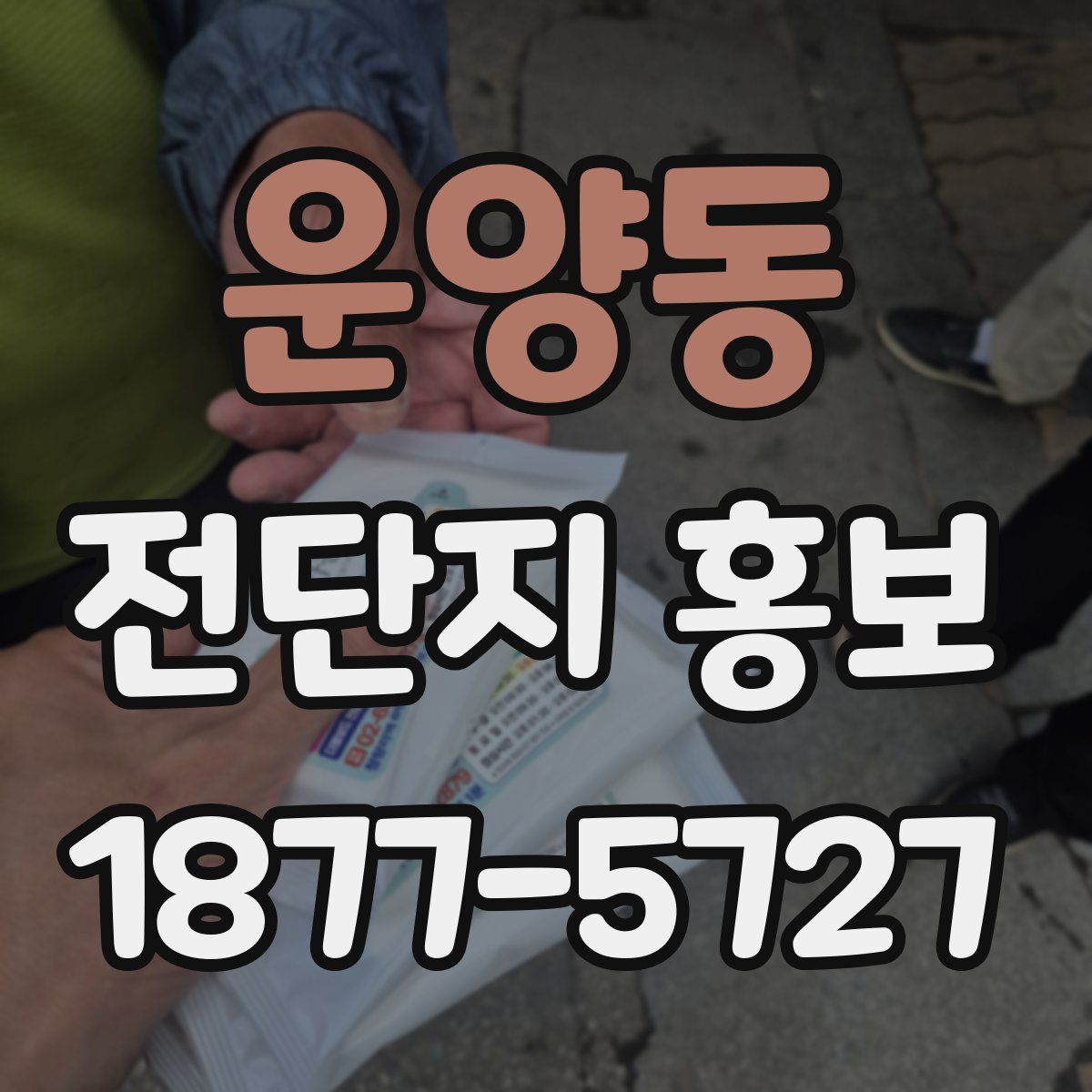 운양동 전단지 홍보