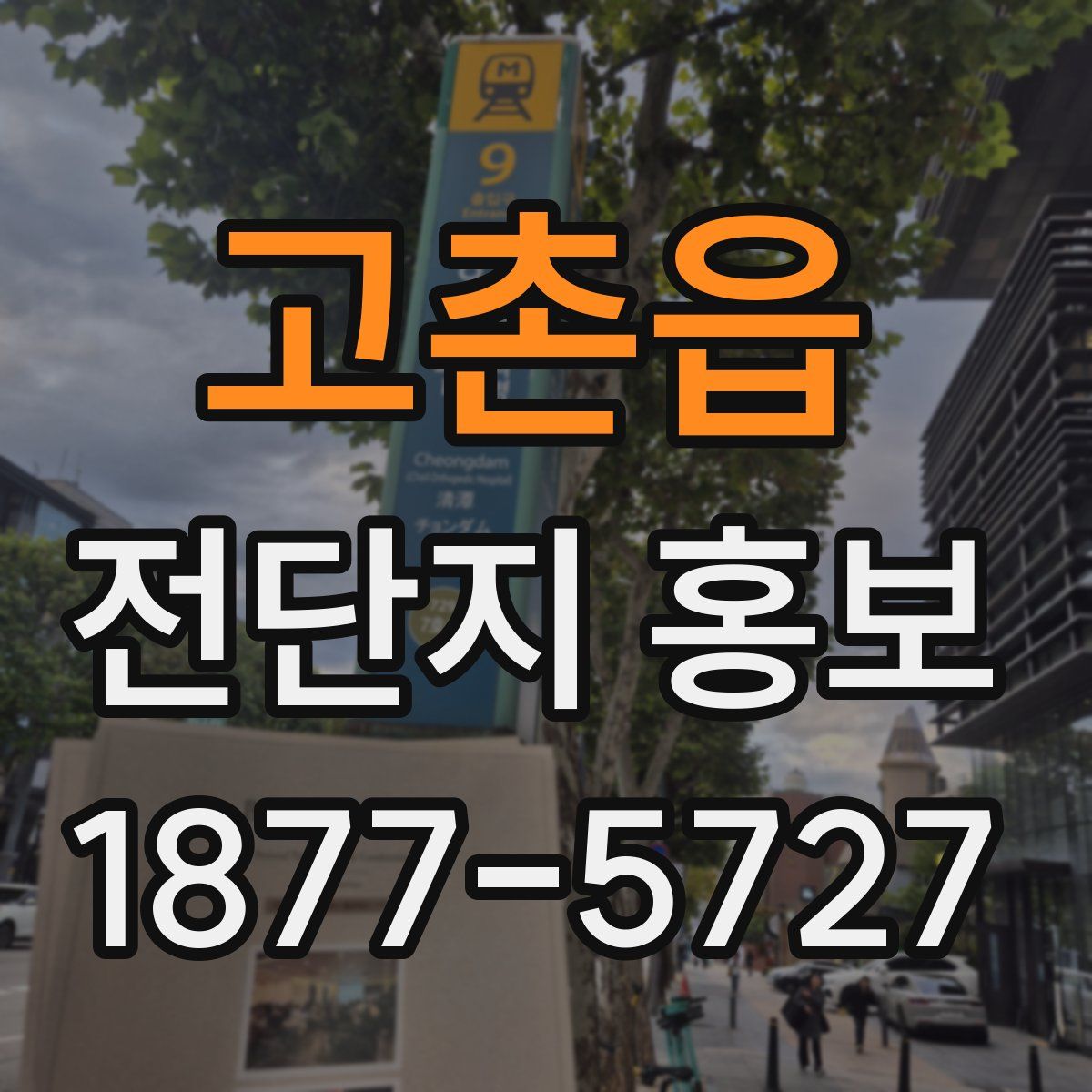 고촌읍 전단지 홍보