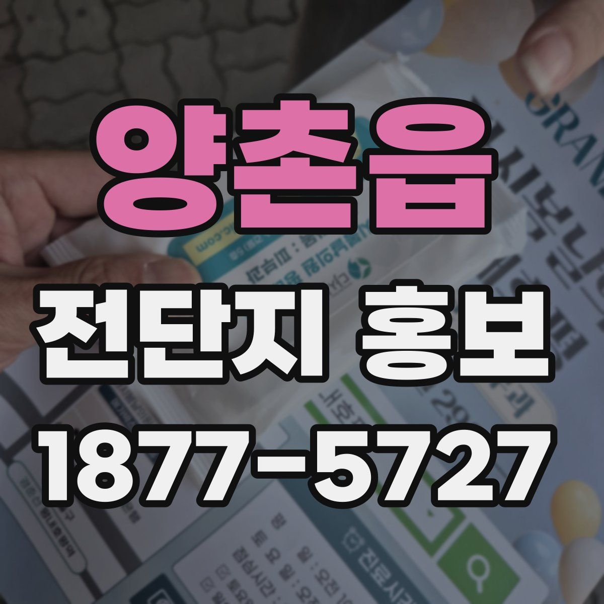 양촌읍 전단지 홍보