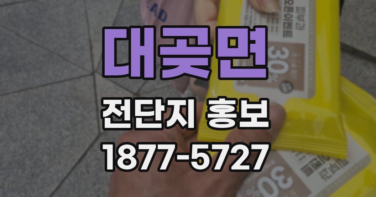 대곶면 전단지 홍보