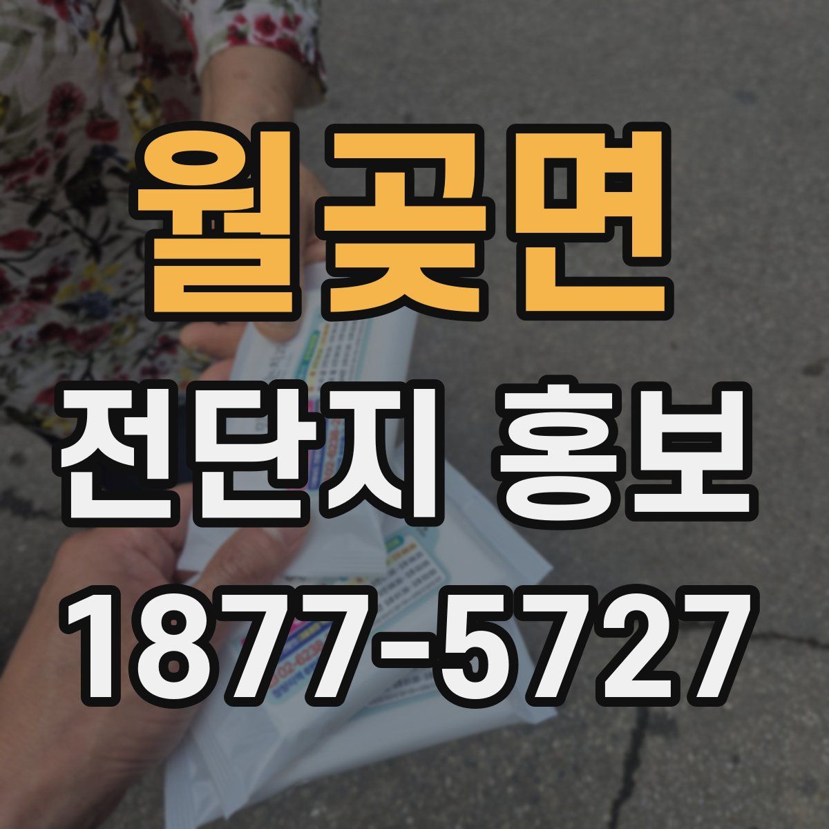 월곶면 전단지 홍보