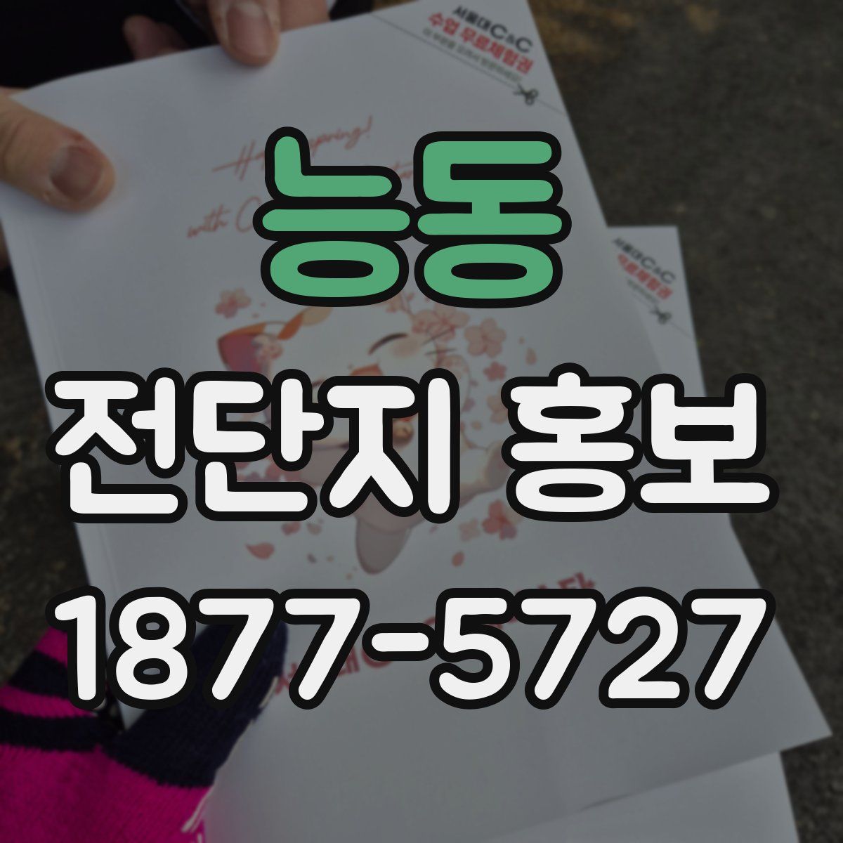 능동 전단지 홍보