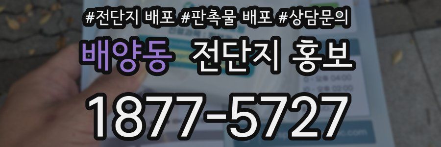배양동 전단지 홍보