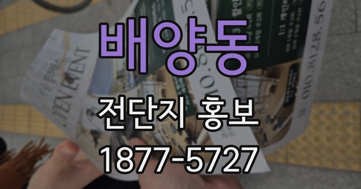 배양동 전단지 홍보