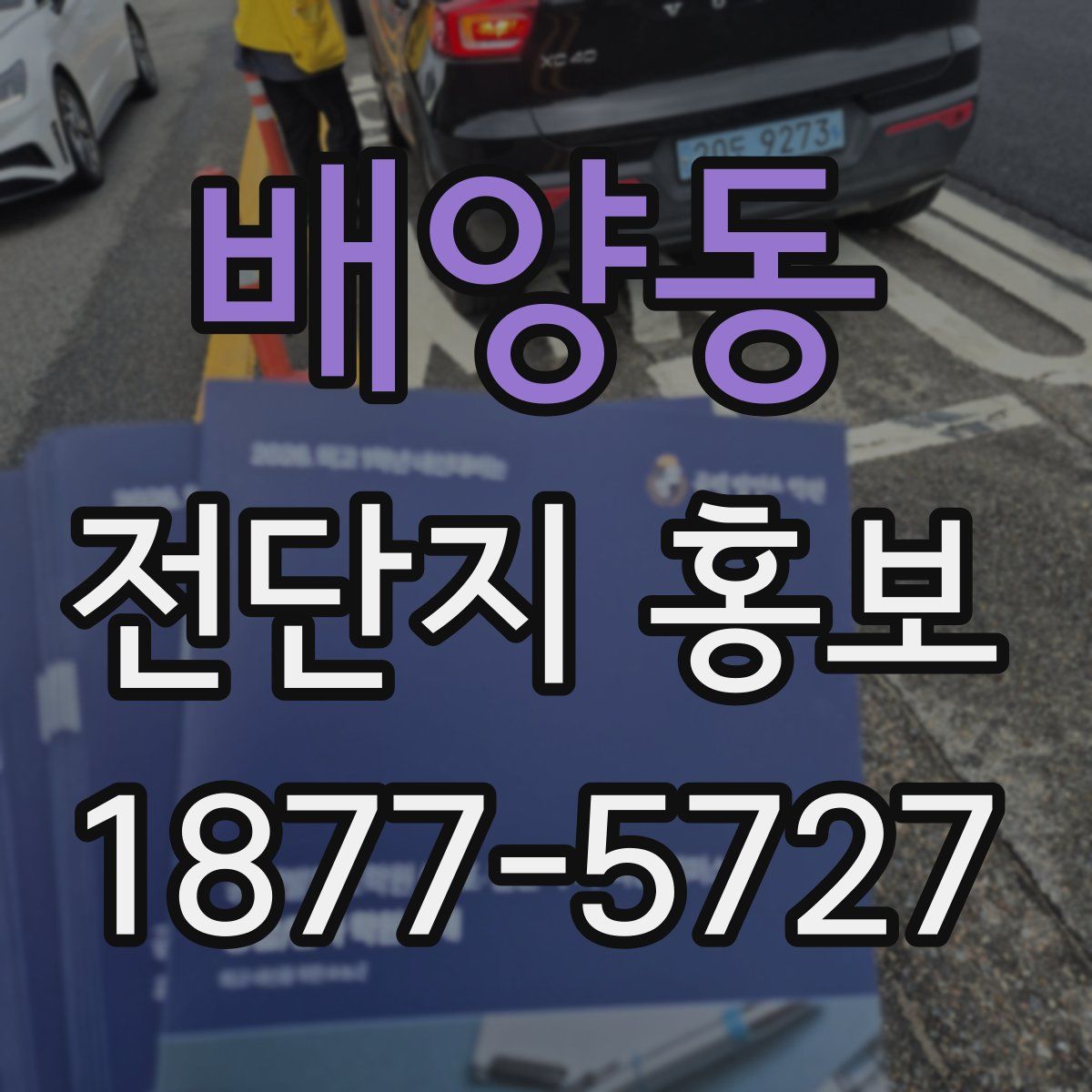 배양동 전단지 홍보