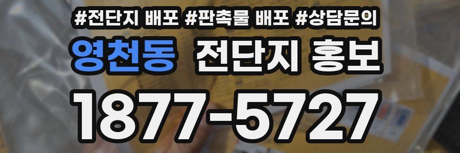 영천동 전단지 홍보