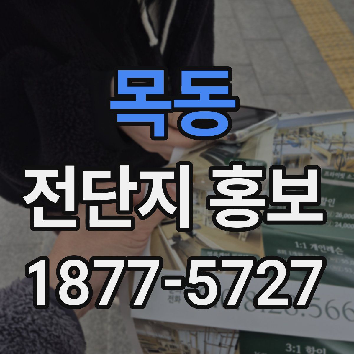 목동 전단지 홍보