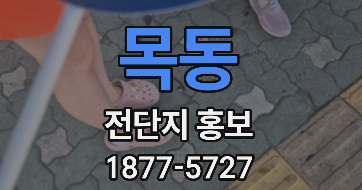 목동 전단지 홍보