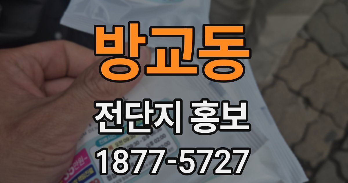 방교동 전단지 홍보
