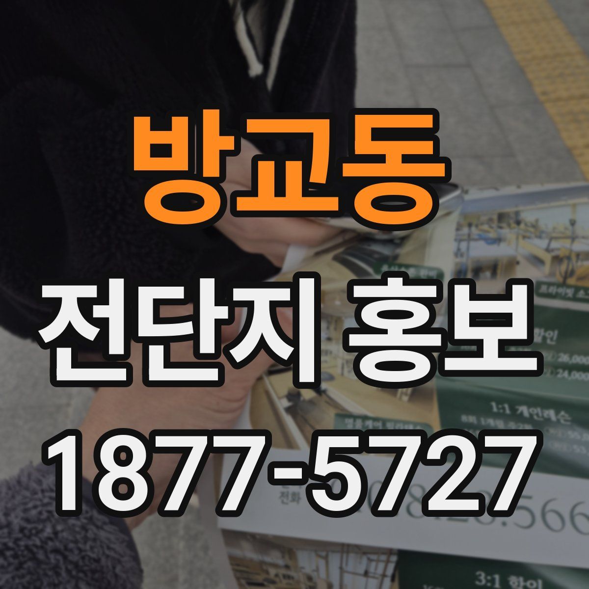 방교동 전단지 홍보
