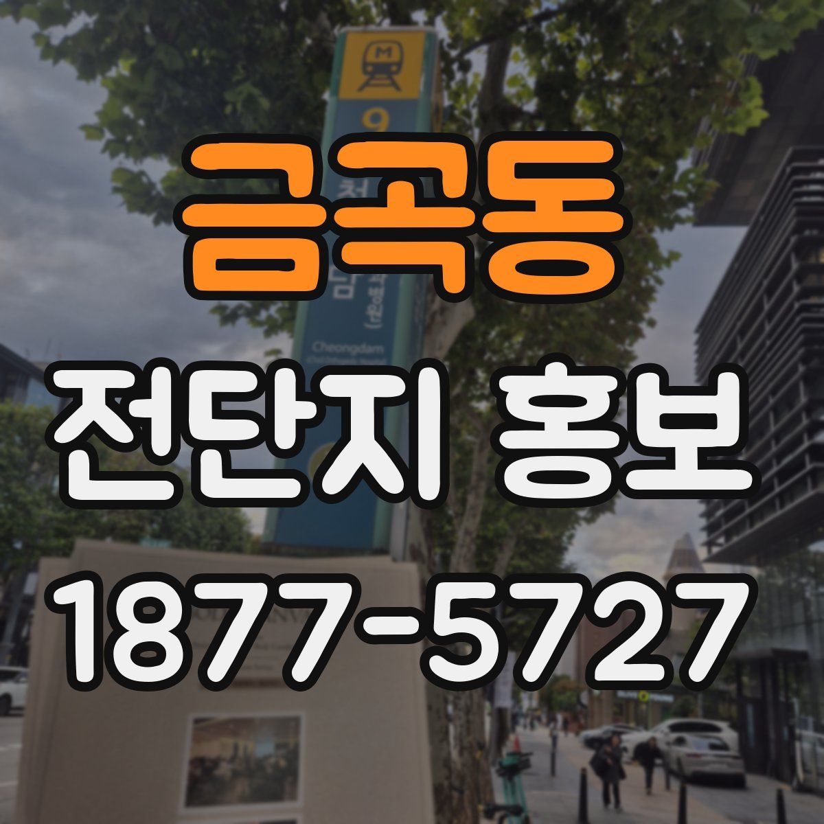 금곡동 전단지 홍보