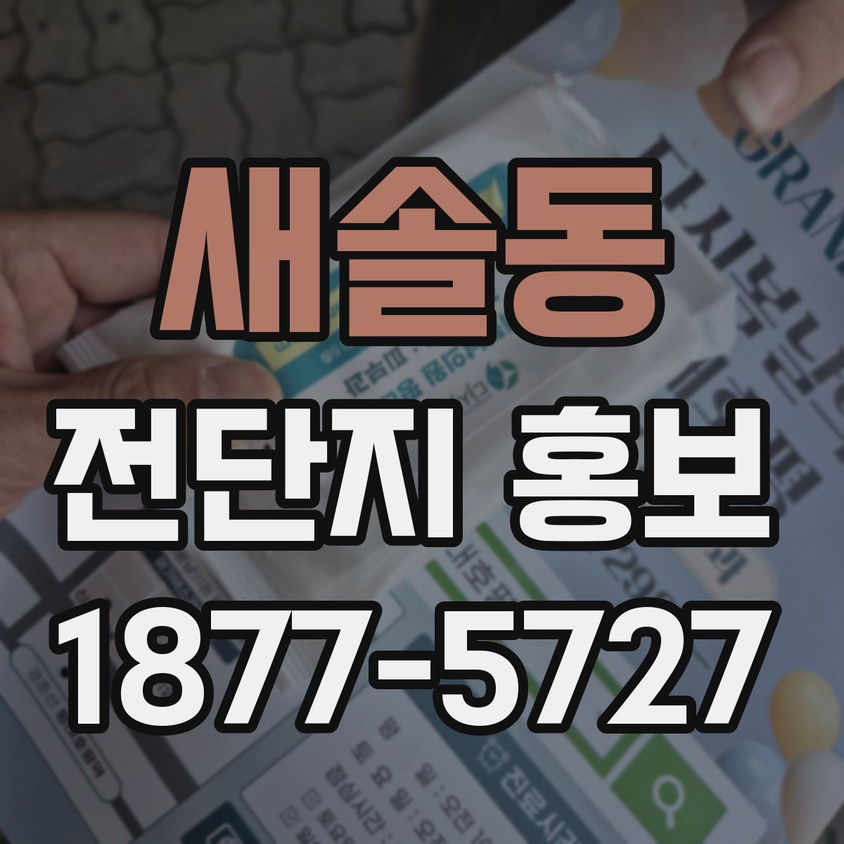 새솔동 전단지 홍보