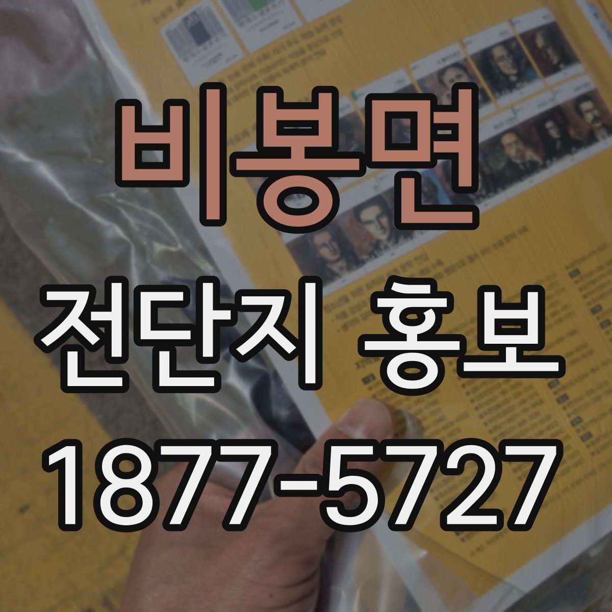비봉면 전단지 홍보