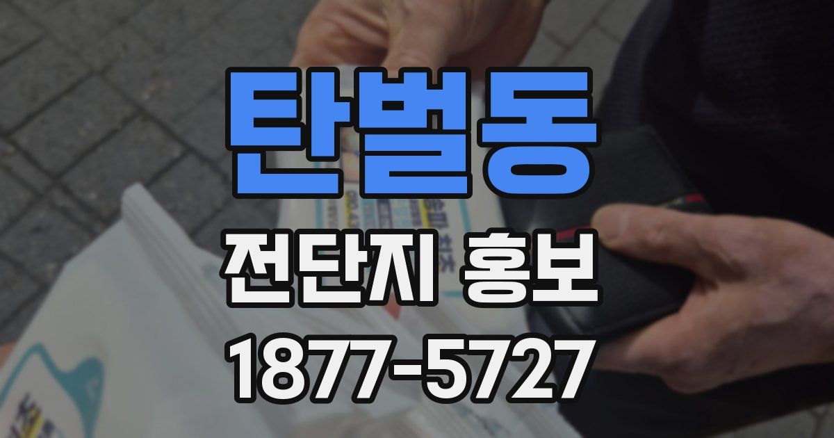 탄벌동 전단지 홍보