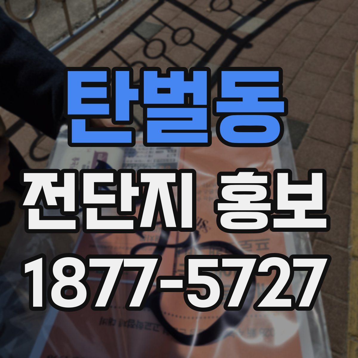 탄벌동 전단지 홍보