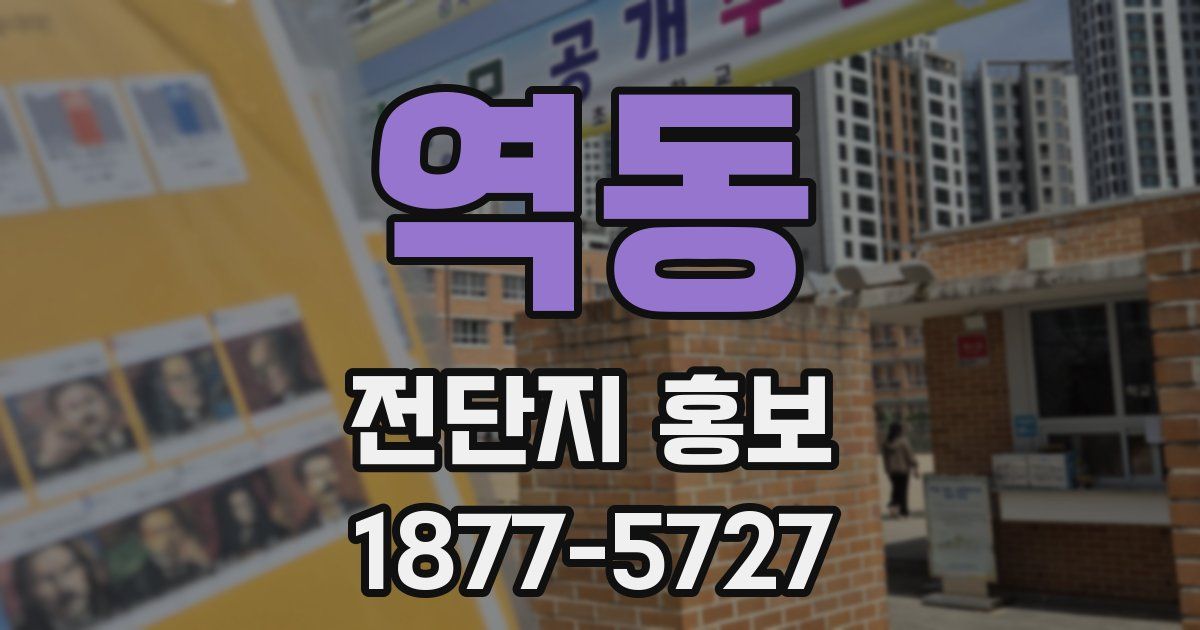 역동 전단지 홍보