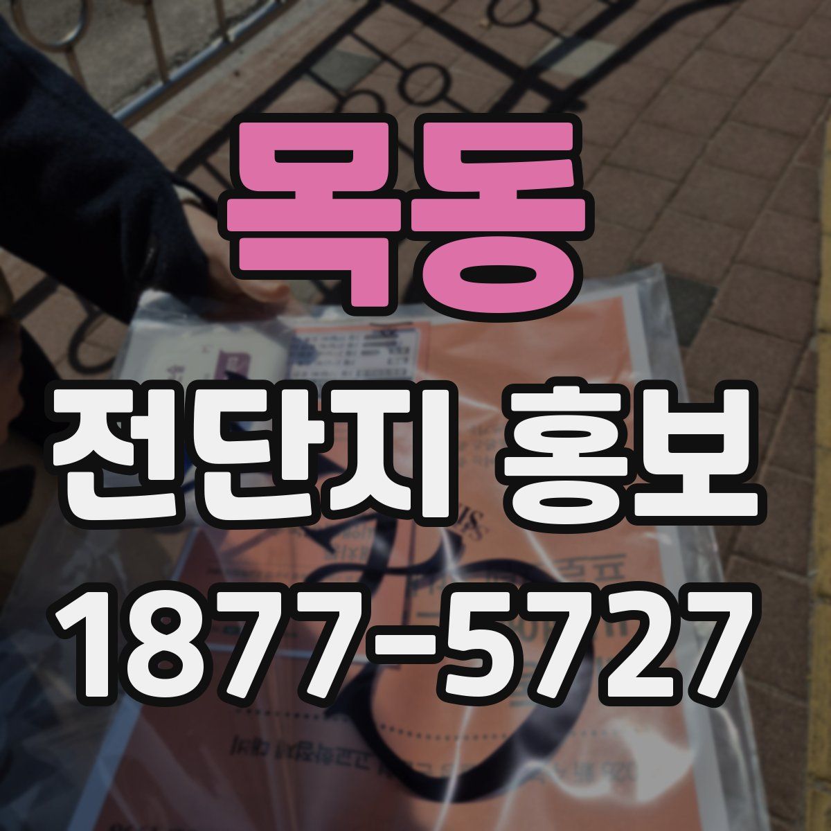 목동 전단지 홍보