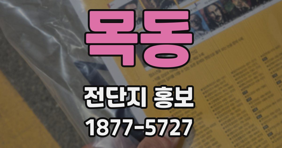 목동 전단지 홍보