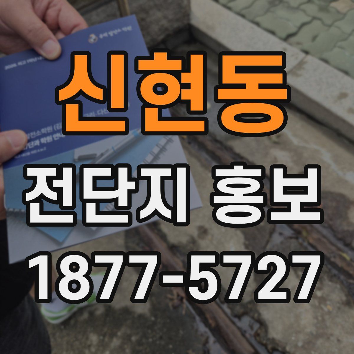 신현동 전단지 홍보