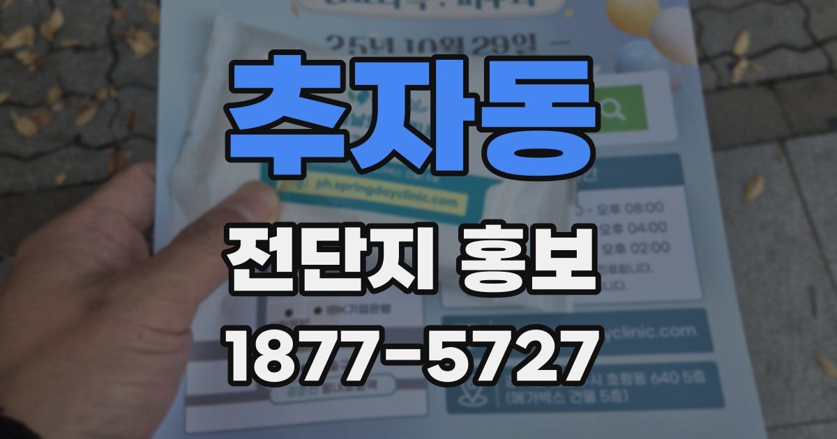 추자동 전단지 홍보
