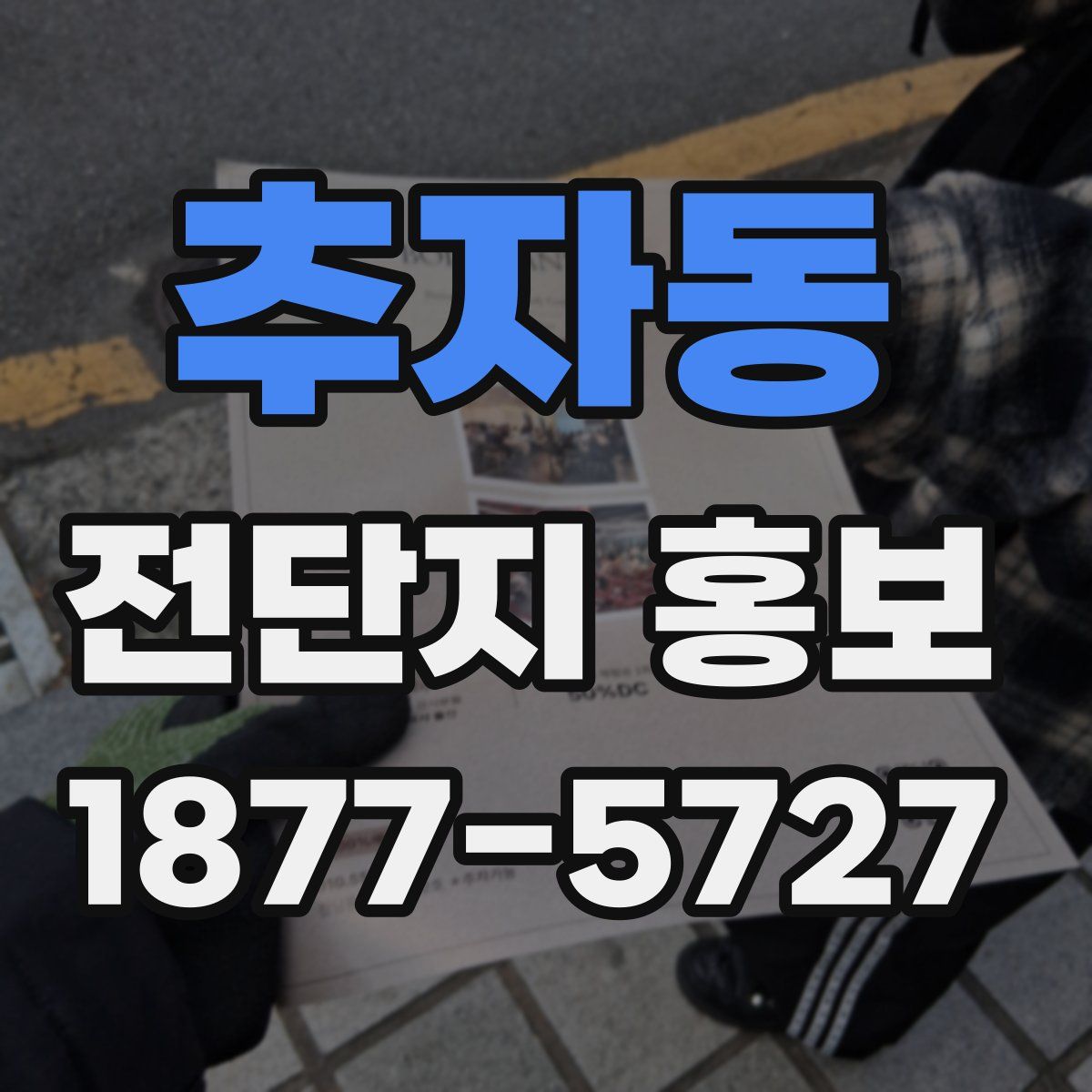 추자동 전단지 홍보