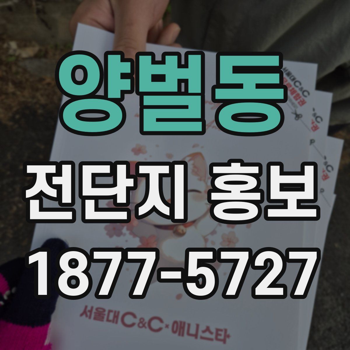 양벌동 전단지 홍보