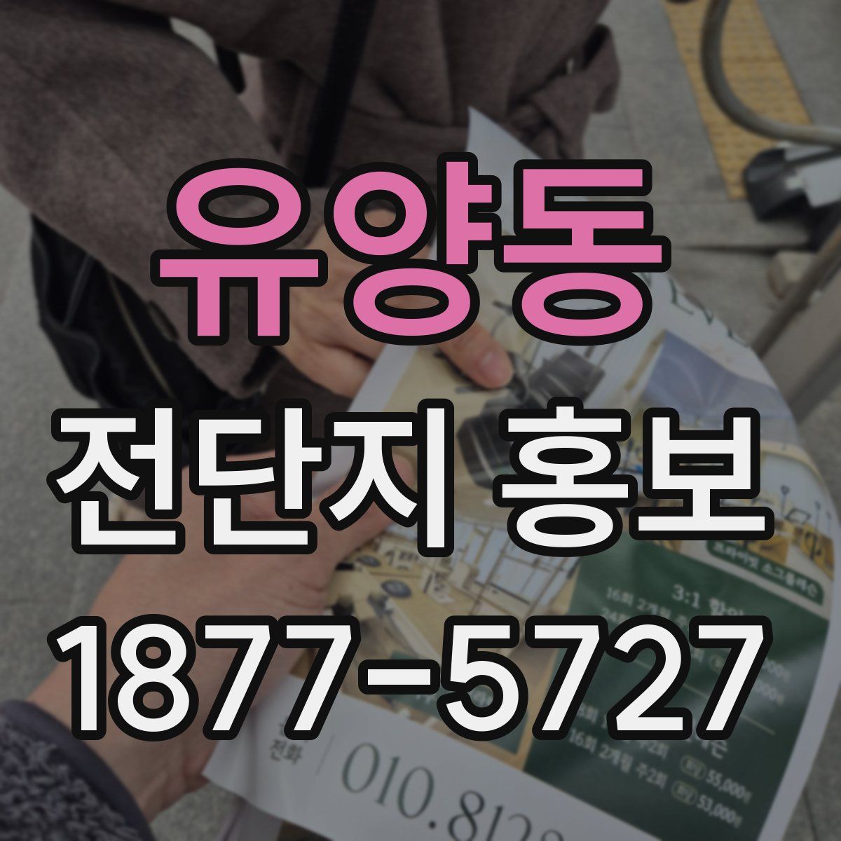 유양동 전단지 홍보