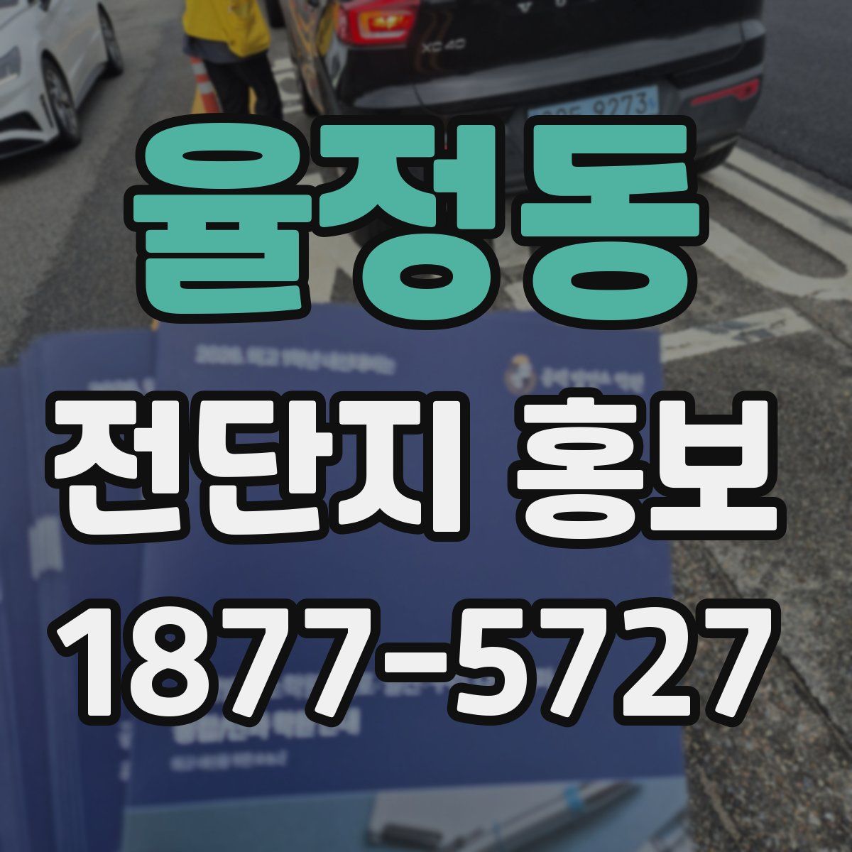 율정동 전단지 홍보
