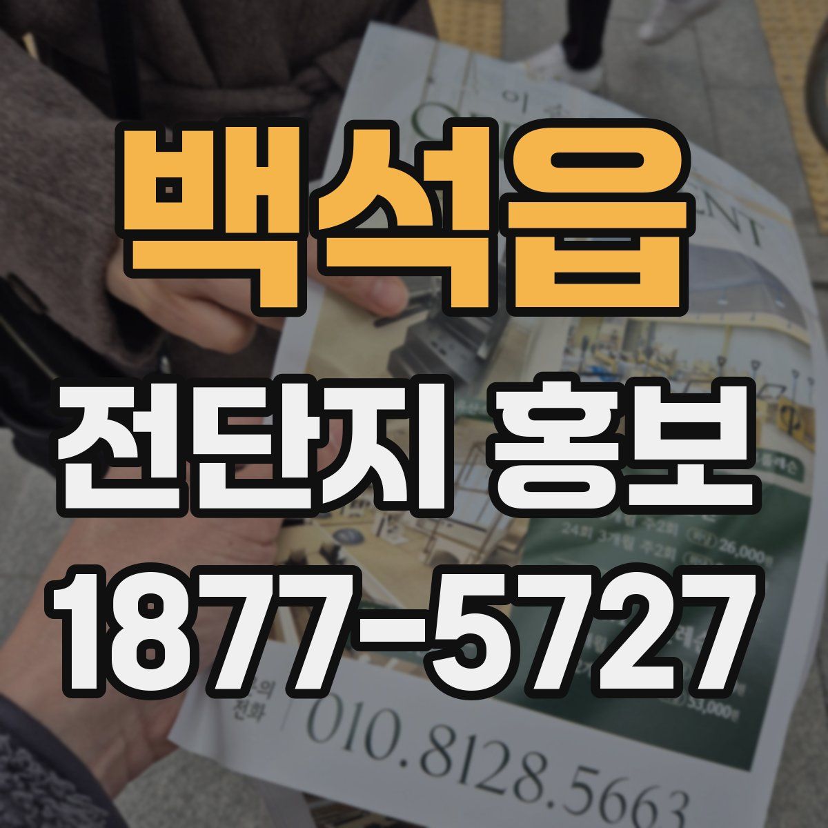 백석읍 전단지 홍보