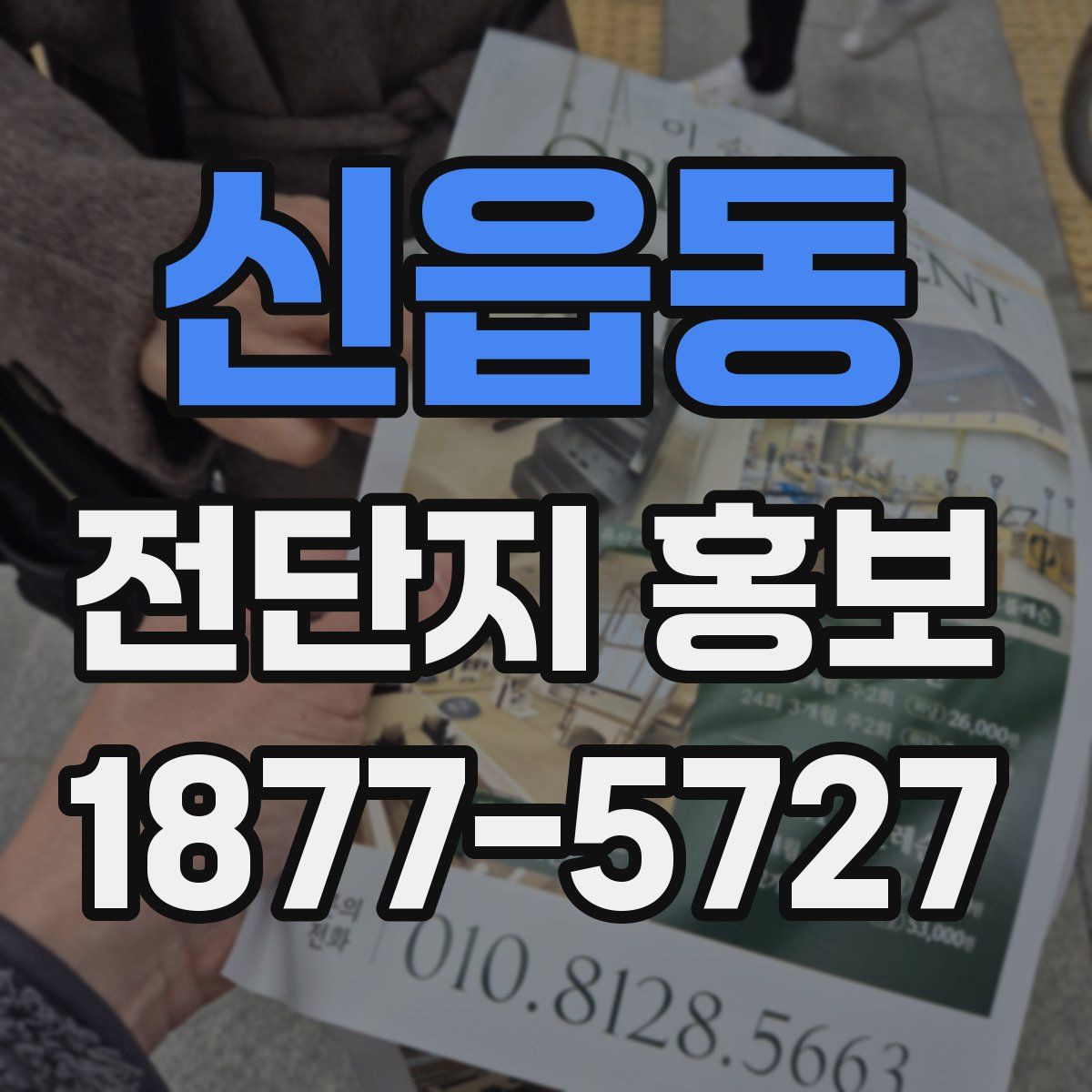 신읍동 전단지 홍보