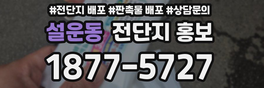 설운동 전단지 홍보