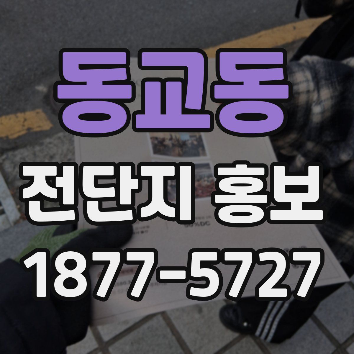 동교동 전단지 홍보
