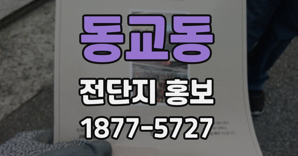 동교동 전단지 홍보