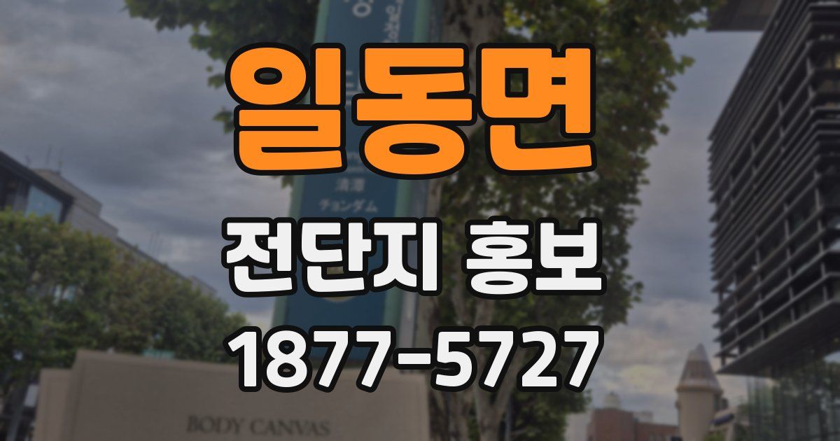 일동면 전단지 홍보