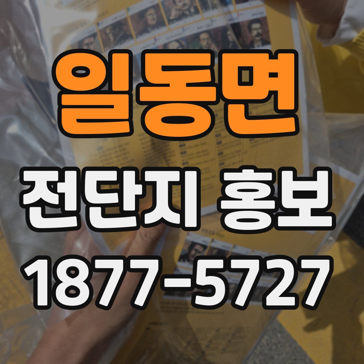 일동면 전단지 홍보