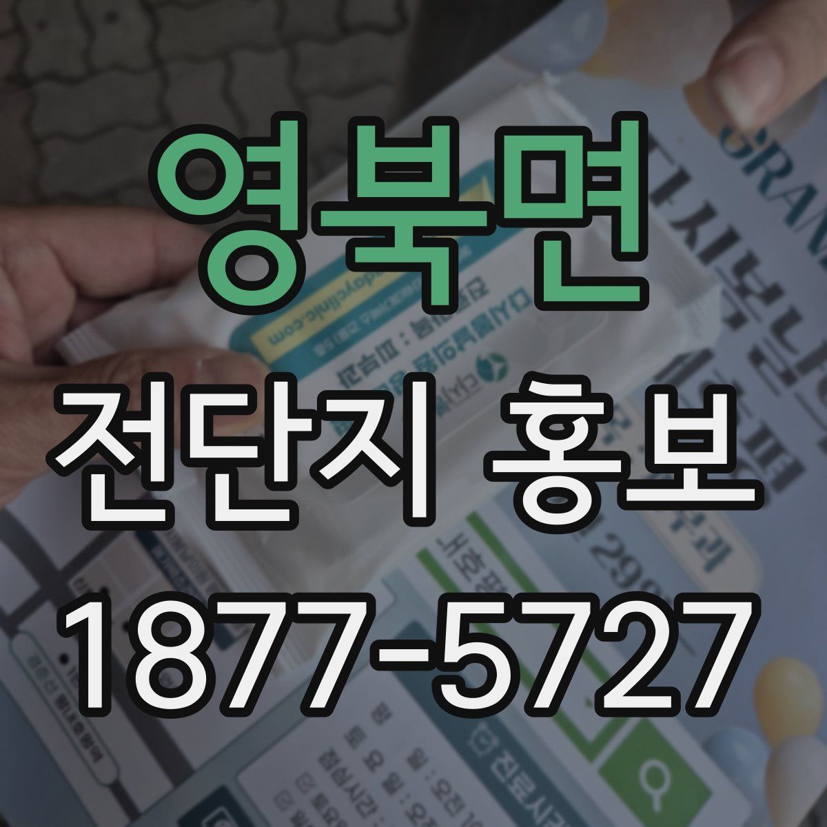 영북면 전단지 홍보