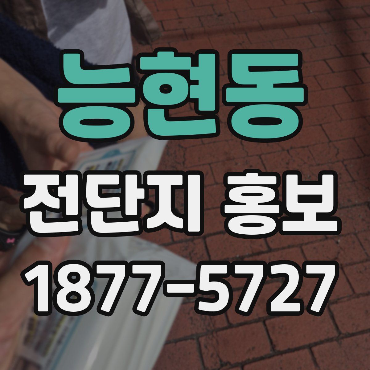 능현동 전단지 홍보