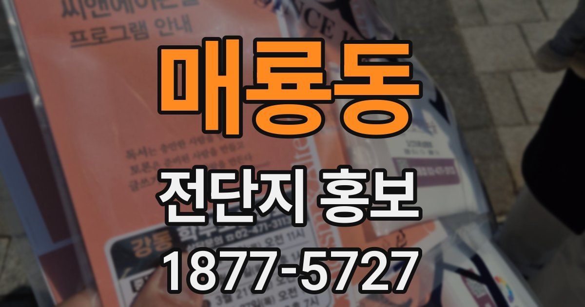 매룡동 전단지 홍보
