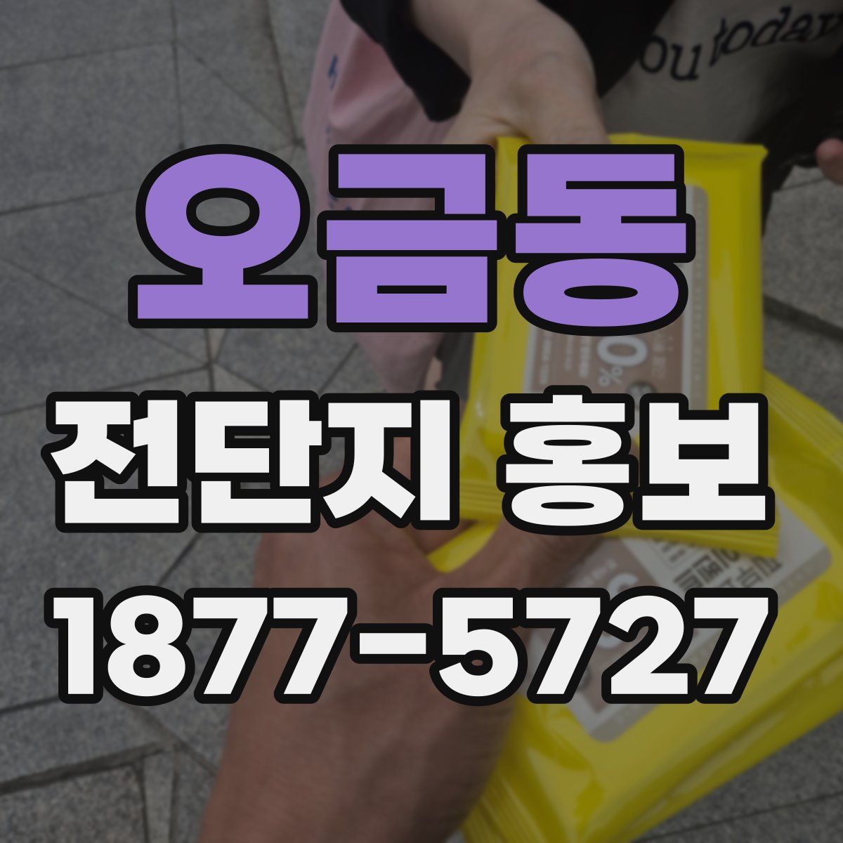 오금동 전단지 홍보